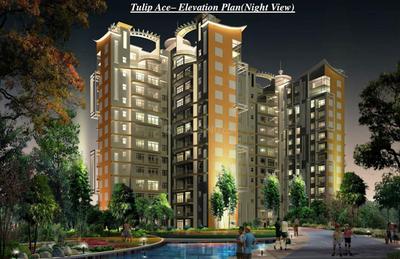 Project Image of 2200.0 - 5625.0 Sq.ft 3 BHK Apartment for buy in Tulip Ace