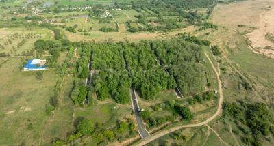 Project Image of 10000.0 - 17163.0 Sq.ft Residential Plot Plot for buy in Sai River Garden