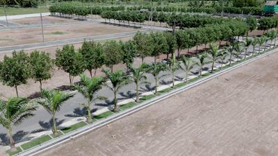 Project Image of 688.0 - 2721.0 Sq.ft Residential Plot Plot for buy in Senthur Balaji Residential Town