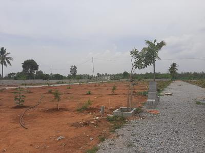 Project Image of 600.0 - 1200.0 Sq.ft Residential Plot Plot for buy in Clear Old Bangalore