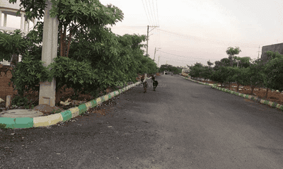 Project Image of 1011.81 - 3261.46 Sq.ft Residential Plot Plot for buy in Shubham Enclave