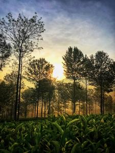 Project Image of 1000.0 - 10018.0 Sq.ft Residential Plot Plot for buy in ABI Royal Crown Vesta