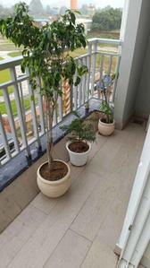 Project Image of 0.0 - 1160.0 Sq.ft 2.5 BHK Builder Floor for buy in The Rising Palm Floors