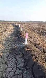 Project Image of 1000.0 - 10000.0 Sq.ft Residential Plot Plot for buy in AJ LAND IN SARDE THIRD MAHA MUMBAI