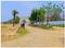 Garden Ganj Internal Roads & Footpaths 2