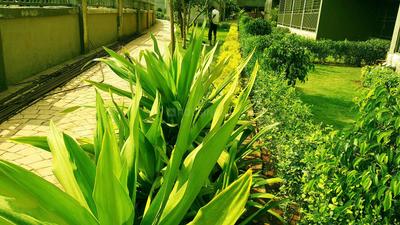 Project Image of 373.83 - 616.66 Sq.ft 1 BHK Apartment for buy in Grow Riverside Greens