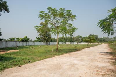 Project Image of 903.74 - 4717.07 Sq.ft Residential Plot Plot for buy in Suryo Udyog Green Village