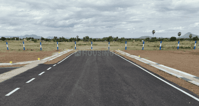 Project Images