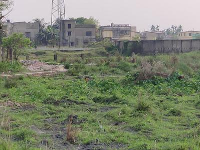 Project Image of 720.0 - 2160.0 Sq.ft Residential Plot Plot for buy in Niharika