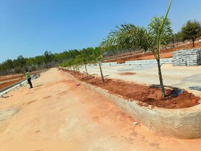 Hampton Palms Internal Roads & Footpaths 1