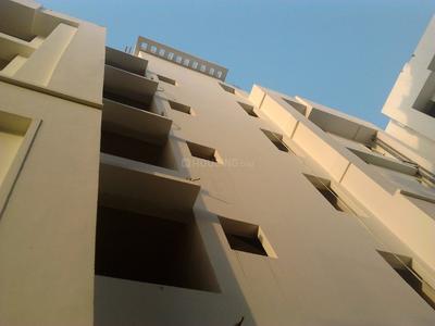 Project Image of 1600 Sq.ft 3 BHK Apartment / Flat for sale in Boring Road for Rs. 12500000