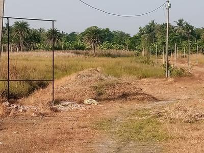Project Image of 1080.0 - 3240.0 Sq.ft Residential Plot Plot for buy in Rasapunja Abasan Plot