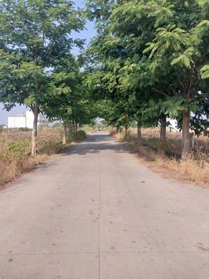 Project Image of 950.0 - 5020.0 Sq.ft Residential Plot Plot for buy in Sunderdeep Infocity Phase 2
