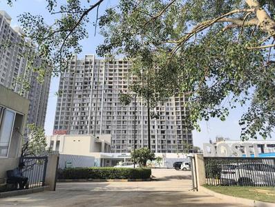 Project Image of 636.9 - 740.99 Sq.ft 2 BHK Apartment for buy in Dosti Greenscapes Phase 3