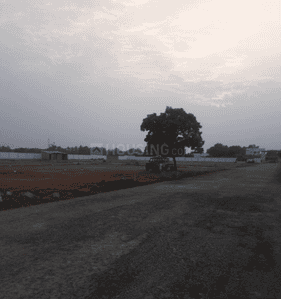 Project Images