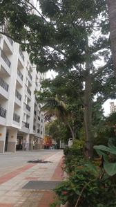 Project Image of 1205.0 - 1640.0 Sq.ft 2 BHK Apartment for buy in Emmanuel Ashley Park