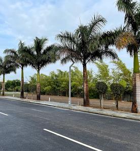 Gallery Cover Pic of Aarudhras Quinta Phase II