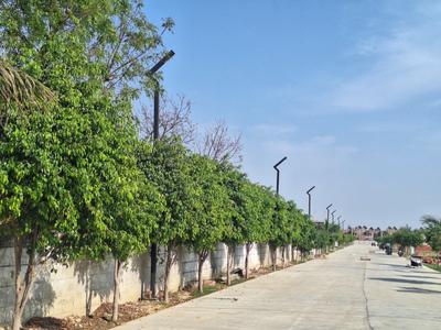Project Image of 829.0 - 1453.0 Sq.ft Residential Plot Plot for buy in Nakshatra Green