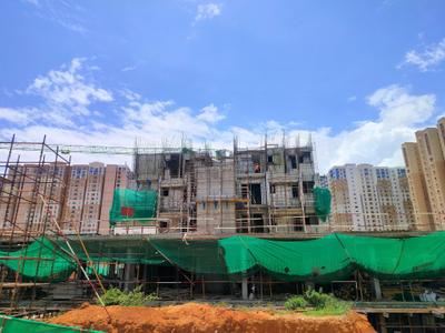 Project Image of 636.0 - 1300.0 Sq.ft 2 BHK Apartment for buy in Kalyani Living Tree