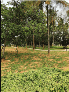 Project Image of 1131 Sq.ft 2 BHK Apartment / Flat for sale in Kyalasanahalli for Rs. 12800000