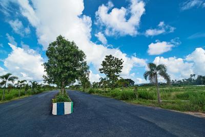 Project Image of 1503.0 - 1998.0 Sq.ft Residential Plot Plot for buy in Swathi Luckie Township