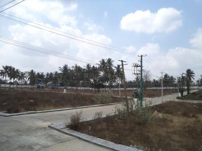 Project Image of 1200.0 - 2400.0 Sq.ft Residential Plot Plot for buy in Confident Regulus