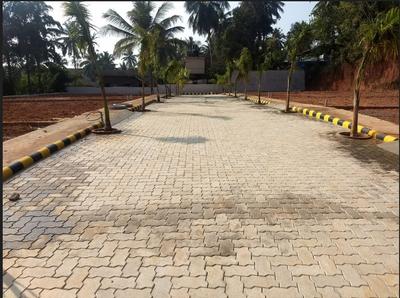 Project Image of 1502.75 - 2404.44 Sq.ft Residential Plot Plot for buy in Emmanuel Escala Paradise