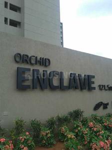 Project Image of 1340.0 - 1750.0 Sq.ft 2 BHK Apartment for buy in Galaxy Orchid Enclave