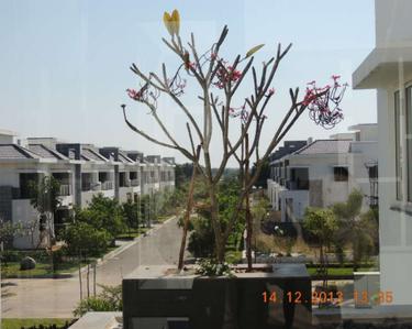 Project Image of 3655.0 - 4500.0 Sq.ft 3.5 BHK Villa for buy in Vision Infiniti Homes