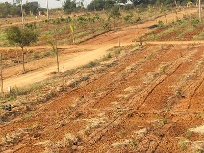 Project Image of 2178.0 - 4356.0 Sq.ft Residential Plot Plot for buy in RR Mega Siri Vanam