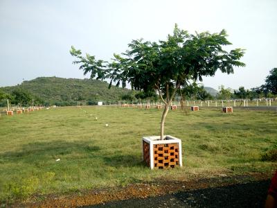 Project Image of 600.0 - 2000.0 Sq.ft Residential Plot Plot for buy in VGN Bloomingdale Phase 2