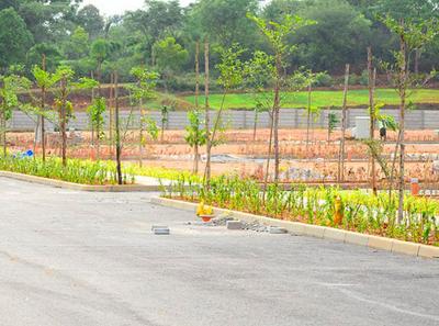 Project Image of 12917.0 - 25833.0 Sq.ft Residential Plot Plot for buy in KNS Neoliva