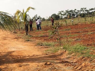 Project Image of 2178.0 - 4356.0 Sq.ft Residential Plot Plot for buy in RR Mega Siri Vanam