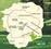 Ansal Celebrity Garden Block P Images for Location Plan of Ansal Celebrity Garden Block P 3