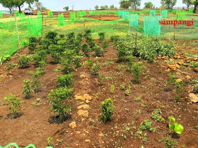 Project Image of 5445.0 - 43560.0 Sq.ft Residential Plot Plot for buy in Sampangi The Treasure Valley