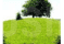 Gaursons India Gaur City 2 10th Avenue Landscaped Gardens 3