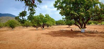 Project Image of 0.0 - 9143.94 Sq.ft Residential Plot Plot for buy in Pudami Organic Farm Land