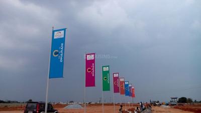 Gallery Cover Pic of Max Dharani