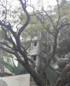 Mishal Ganadhiraj Images for Construction Status of Mishal Ganadhiraj 1