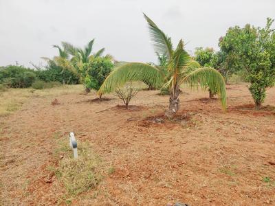 Project Image of 1300.0 - 2500.0 Sq.ft Agricultural Land Agricultural Land for buy in Green Nature Farms