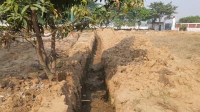 Project Image of 900.0 - 9000.0 Sq.ft Residential Plot Plot for buy in Omshri Royal City Farms