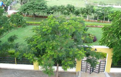 Project Image of 1835.0 - 2308.0 Sq.ft 3 BHK Villa for buy in Chettinadd Greenville