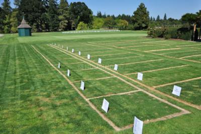 Project Image of 919.0 - 3222.0 Sq.ft Residential Plot Plot for buy in Godrej Plot Pune