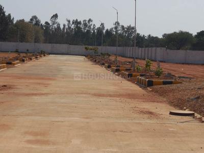 Project Image of 0.0 - 1200.0 Sq.ft Residential Plot Plot for buy in Peninsula Pine woods