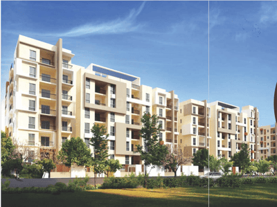 Avinash Woods Elevation 3