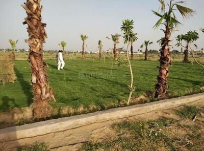 Project Image of 900.0 - 2250.0 Sq.ft Residential Plot Plot for buy in Sky Krishna City