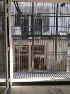 Project Image of 1800.0 - 2700.0 Sq.ft 3 BHK Apartment for buy in Mehta Villa Ananyata
