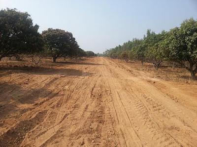 Project Image of 1140.0 - 1760.0 Sq.ft Residential Plot Plot for buy in Akshaya Vintage Venezia
