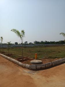 Project Image of 1503.0 - 2367.0 Sq.ft Residential Plot Plot for buy in Brundavanam