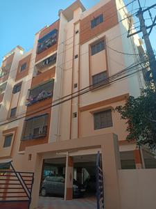 Project Image of 1521.0 - 1526.0 Sq.ft 3 BHK Apartment for buy in Pragathi Infra Enclave